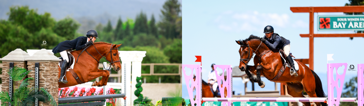 Horse Jumping