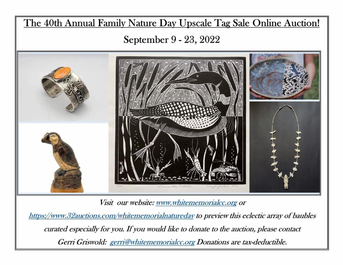 2022 FND Online Auction Poster.jpg