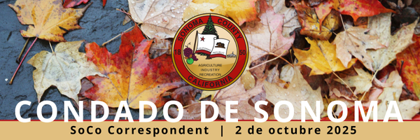 Cabecera del boletín informativo del condado de Sonoma con el sello del condado para el 2 de octubre con una foto de hojas otoñales cubiertas de lluvia