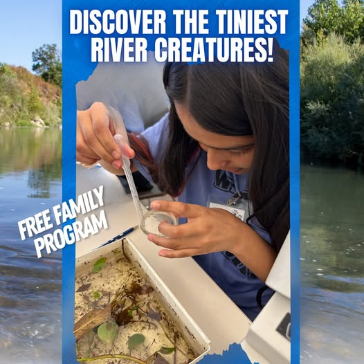 image of a person and text that says:DISCOVER THE TINIEST RIVER CREATURES! Ù FREEFAMILY FREE FAMILY PROGRAM PROGRAMâ'ââ