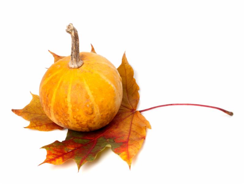 orange_pumpkin_leaf.jpg