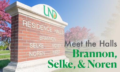 brannon selke noren headerArtboard 1-100.jpg