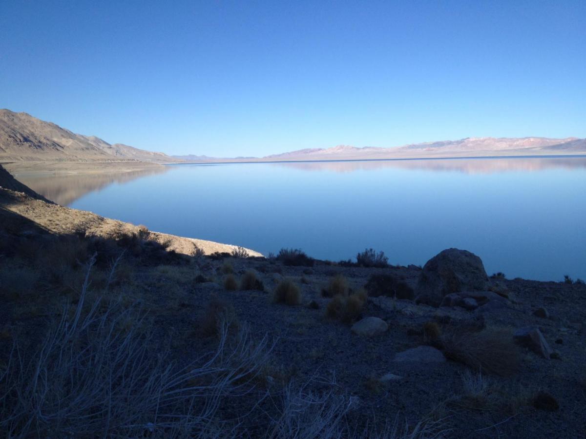 Oppose the Greenlink West Transmission Project!