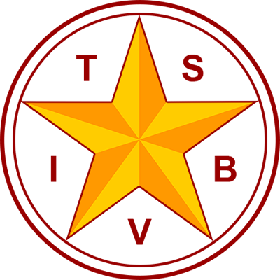 TSBVI logo showing a star with the letters TSBVI around the star in a circle.
