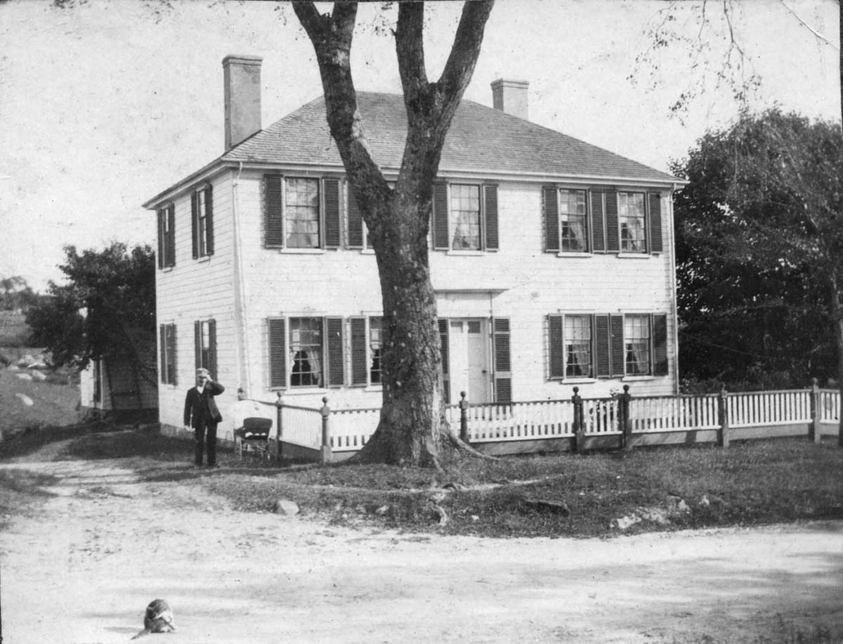 Woods Hole Historical Museum Dispatch