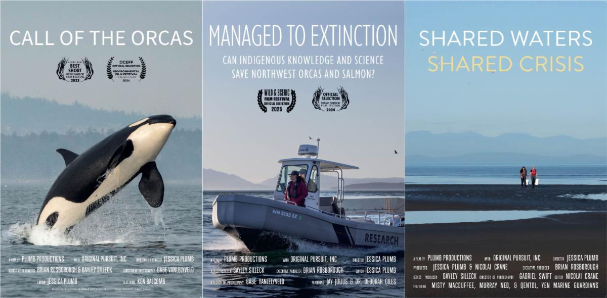 Three movie covers in a row the first an orca leaping from the water the second two people on a small boat rushing across the water the third two people walking across the beach at low tide between two large pools of water.