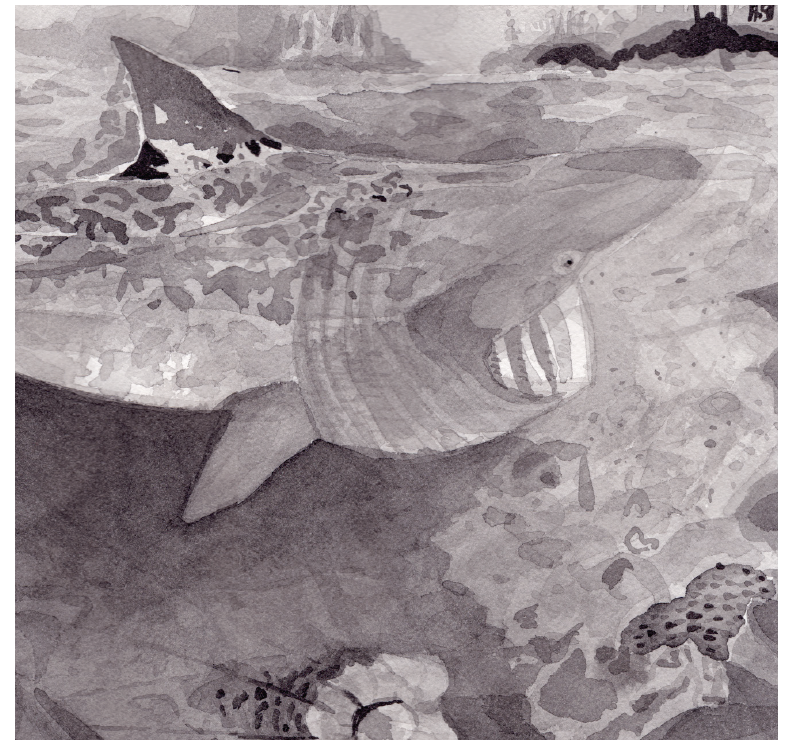 A black and drawing of a basking shark on the surface of the water.