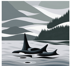 In Indigenous stylized drawing are 3 orca swimming alongside one another in the water while behind is an island and foothills shrouded in clouds.