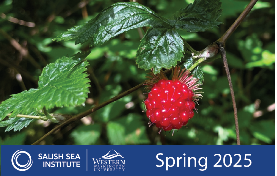 A bright red salmon berry hanging from the branch surrounded by green leaves above a banner that says Salish Sea University WWU Spring 2025.