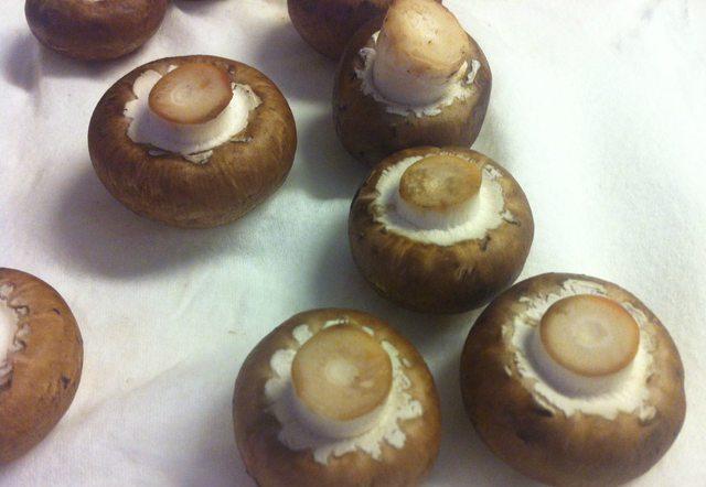 FRESH MUSHROOMS