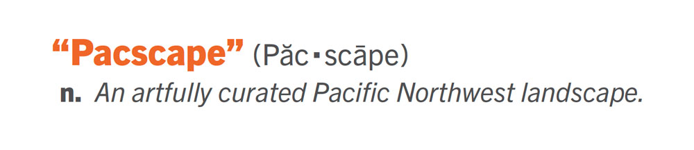 Pacscape branding