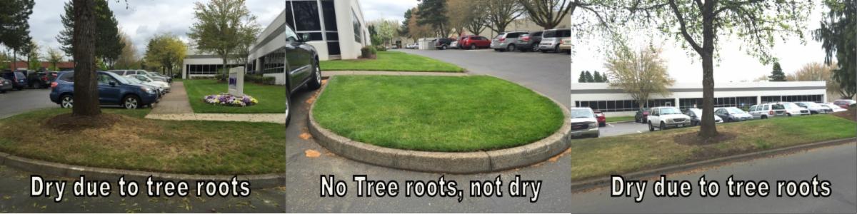 Landscape solution example