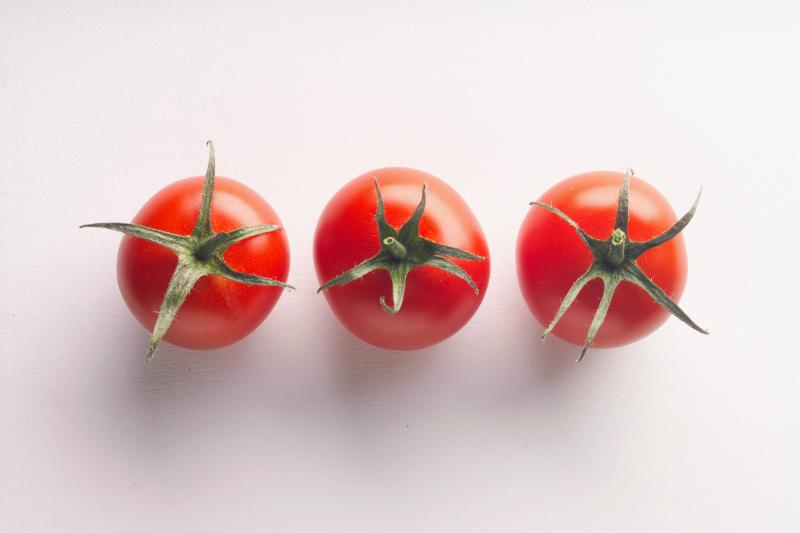 tomatoes.jpg