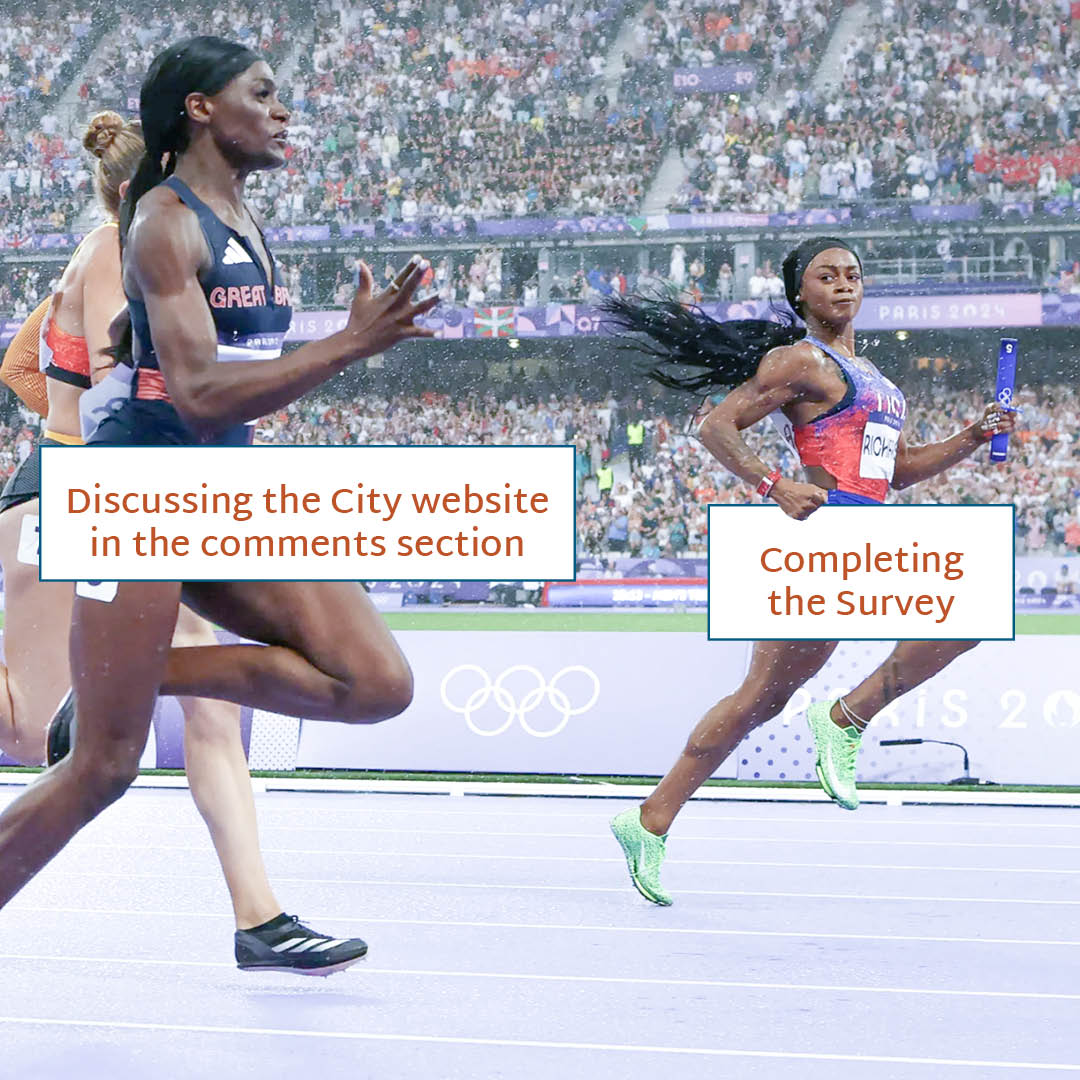 City Website Survey