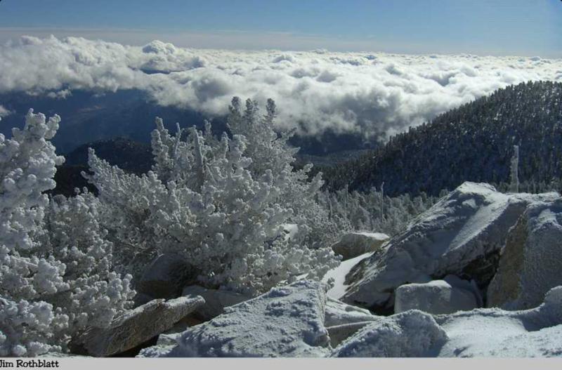 Mt. San Jacinto Natural History Association Image