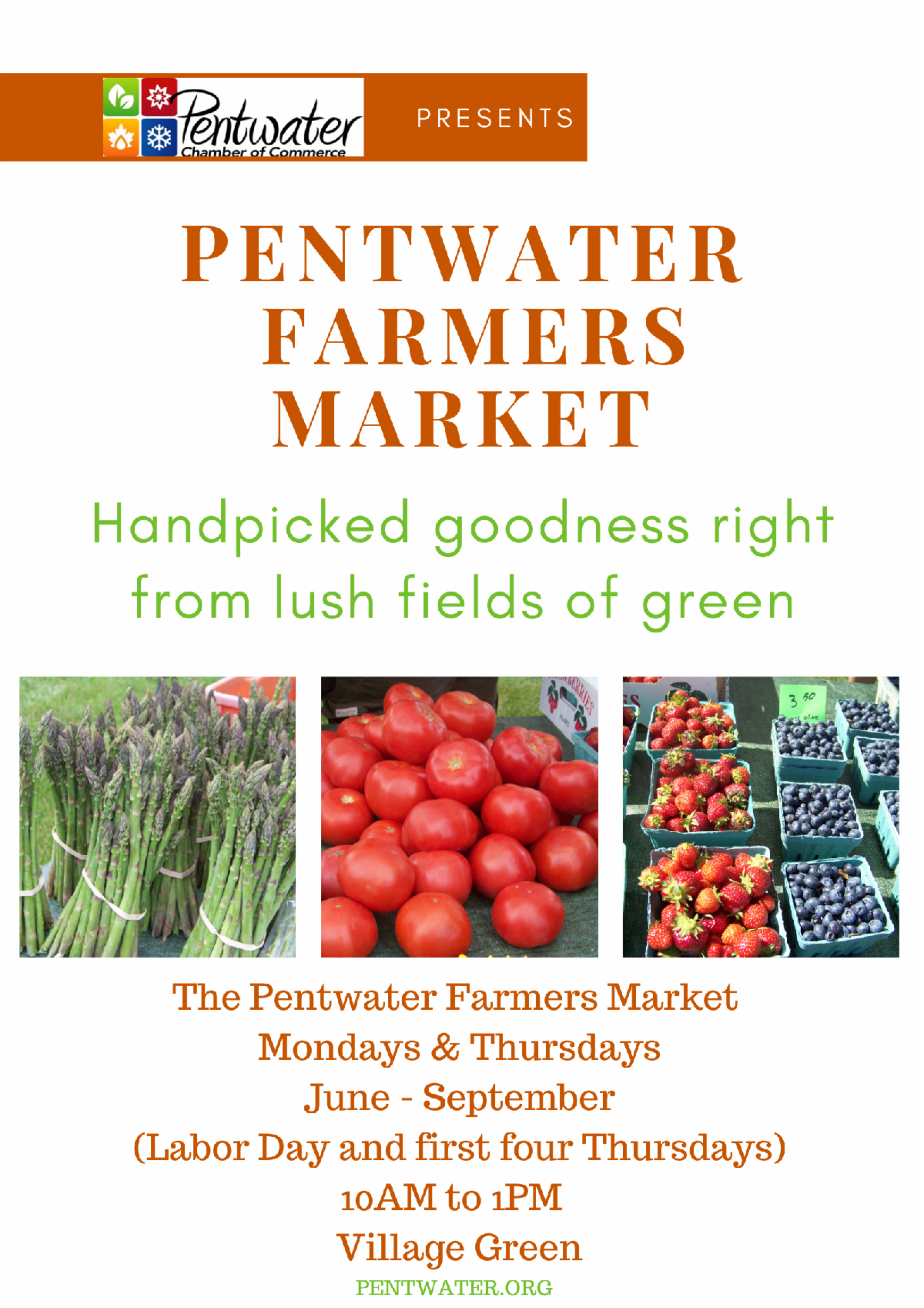 Discover Pentwater July ENewsletter vol 1