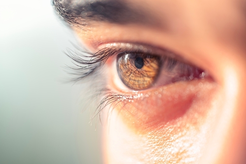 Brown man eye macro shot. Macro shot of a man s eyes. Close-up view of an adult asian man s eye with eyelashes and eyebrow looking in front confidently.