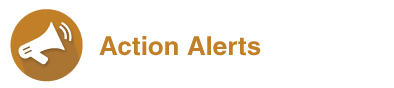 ActionAlerts_2.png