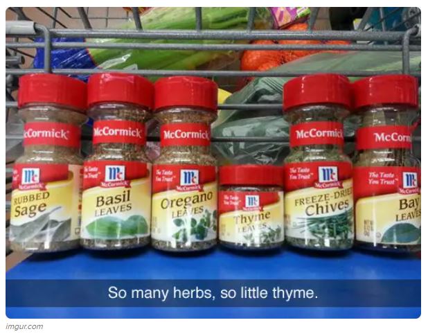 So LittleThyme.JPG