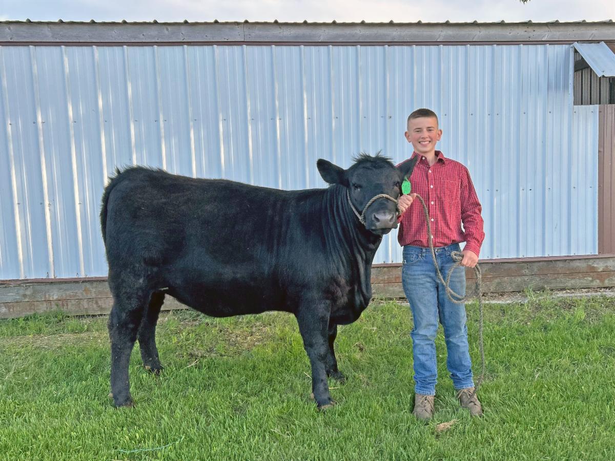Young man in a red shirt and blue jeans posing with a black beef calf