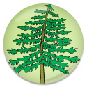 leaning-tree-icon.jpg