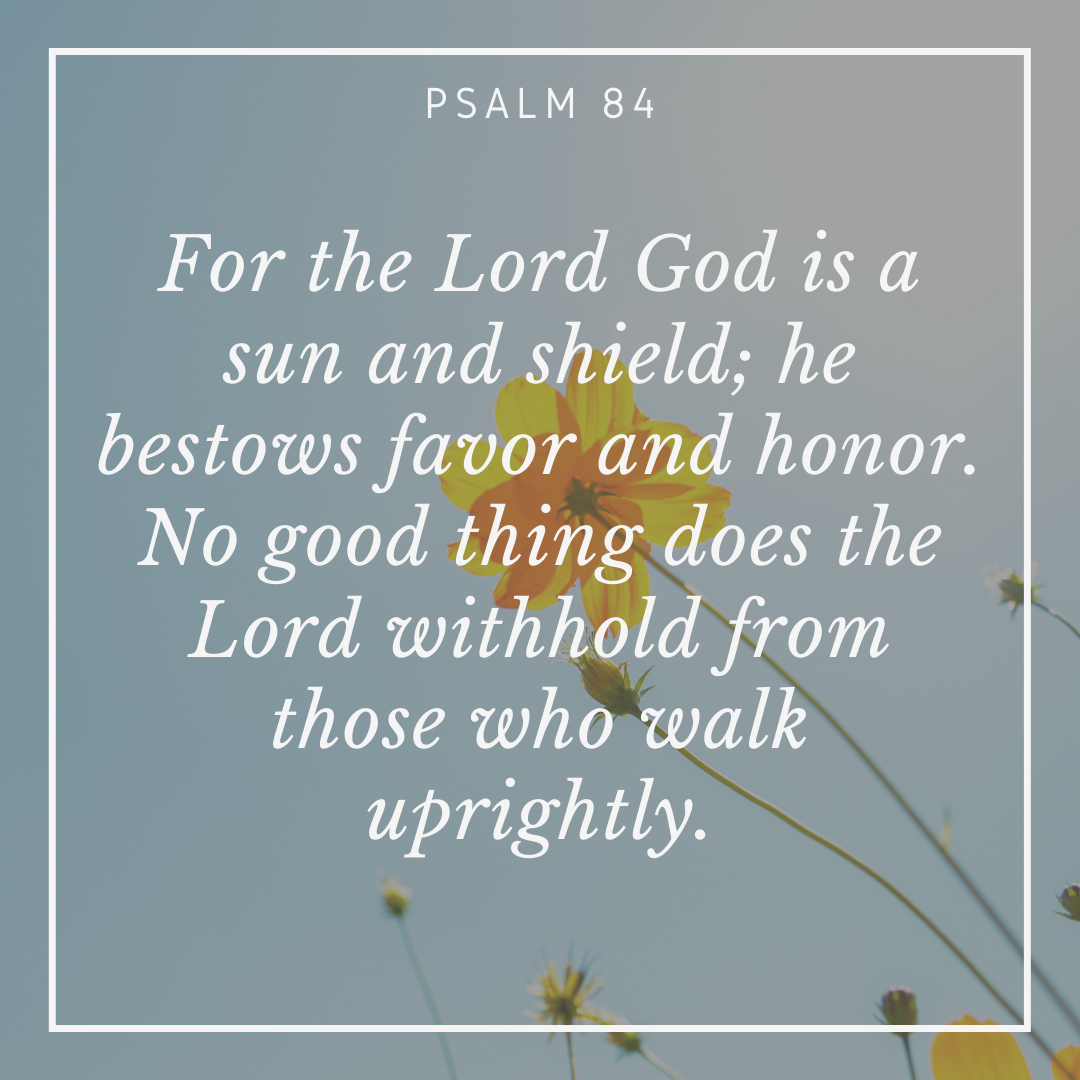 20 March 8  _Mon_.png