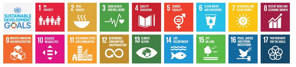 A colorful inforgraphic depicts the UN Sustainale Development Goals