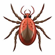 Cartoon tick