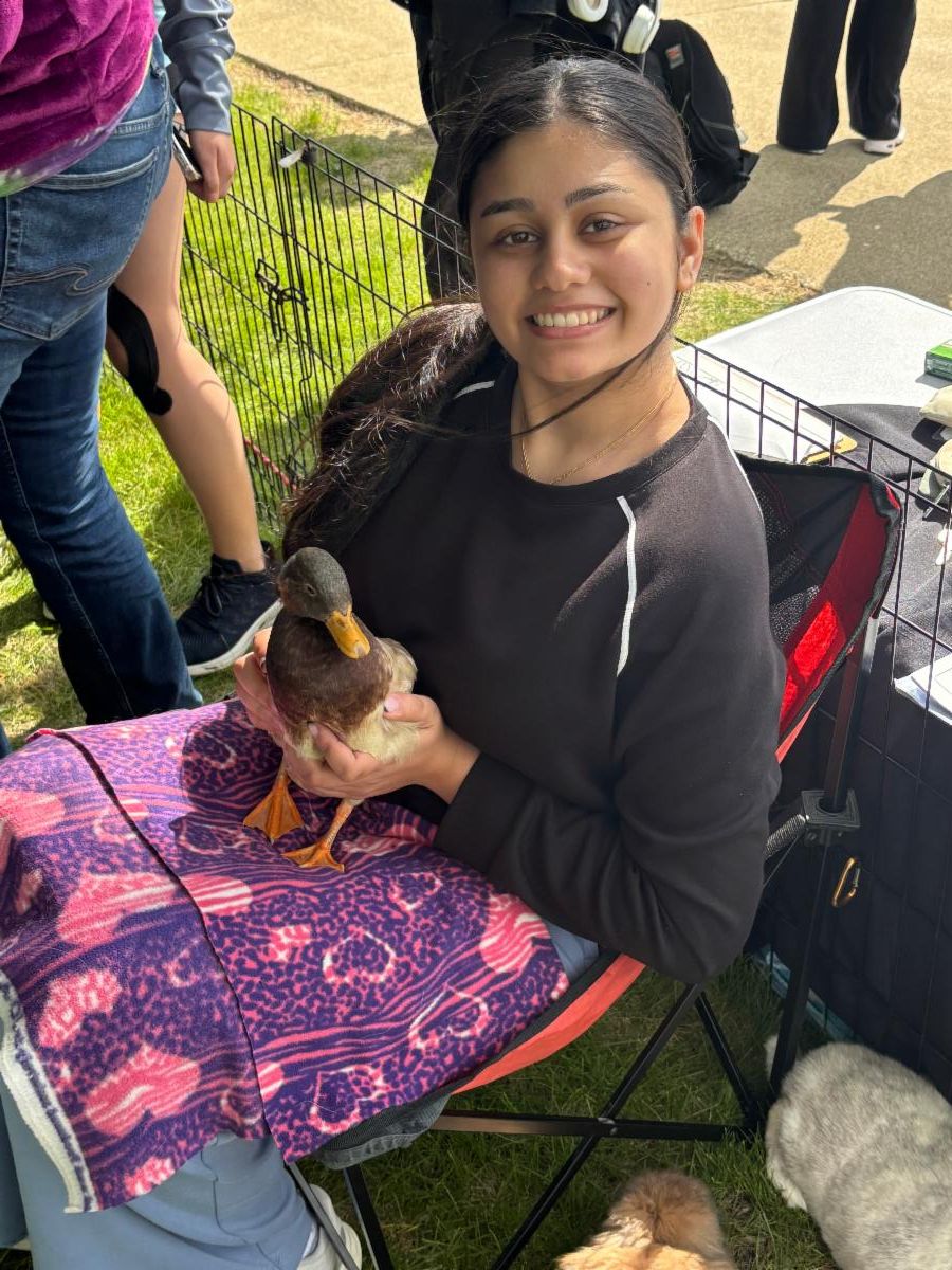 A student smiles while holding a live duck at a petting zoo
