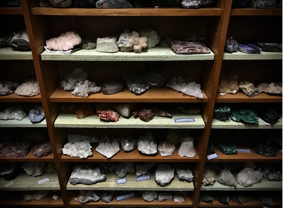 MAPS Museum of Archeology, Paleontology, and Science Field Trip Jumbula