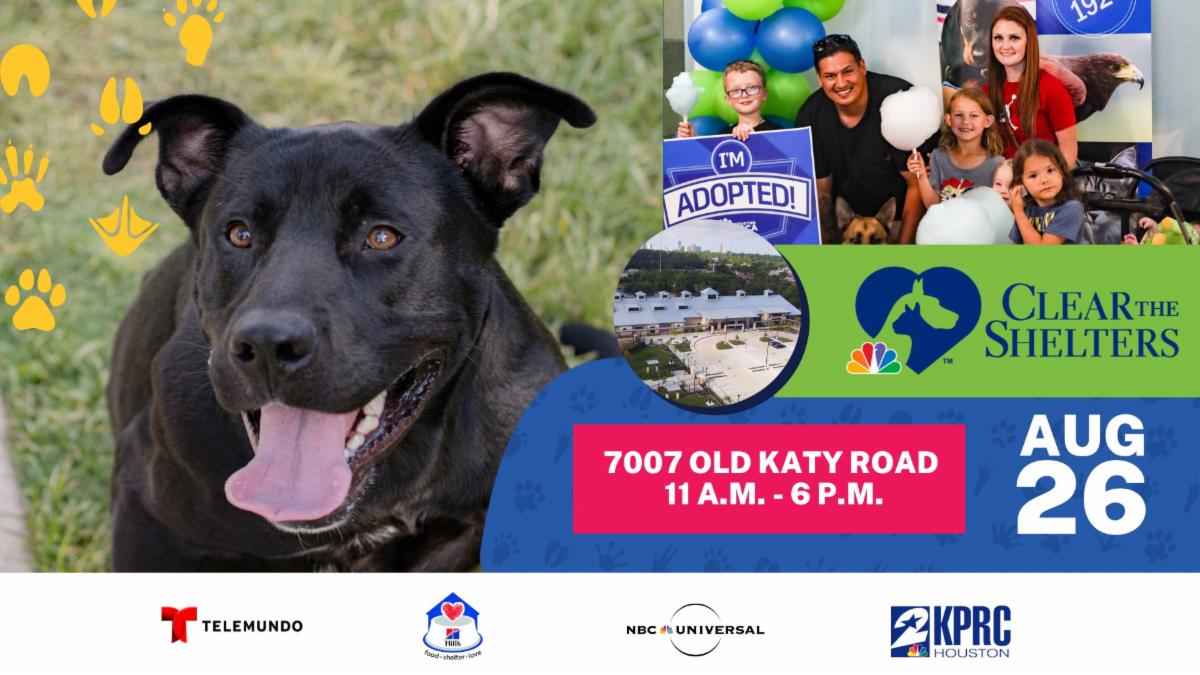 SPCA Clear out the Shelters - Community Announcements - HAIF The ...