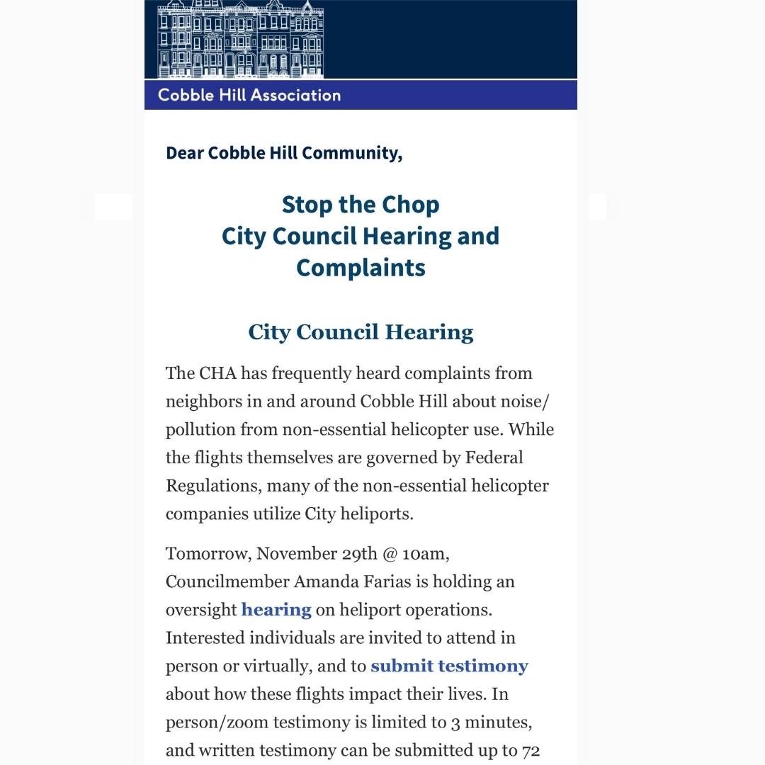 City Council Hearing on Hellicopter.jpg