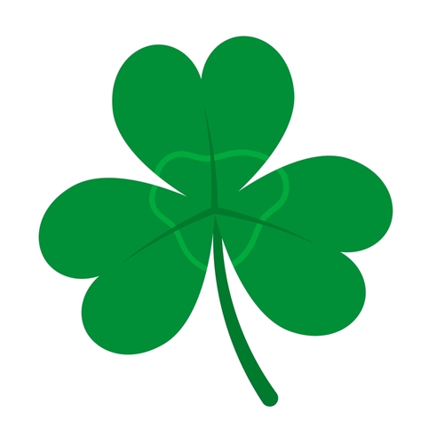 Green Three Leaf Clover. Shamrock icon isolated_ on white background vector illustration
