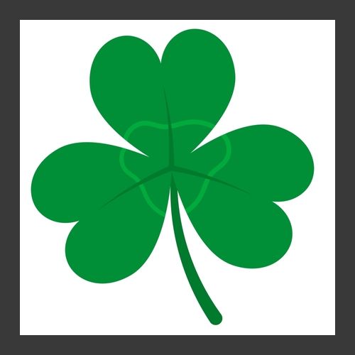 Green Three Leaf Clover. Shamrock icon isolated_ on white background vector illustration