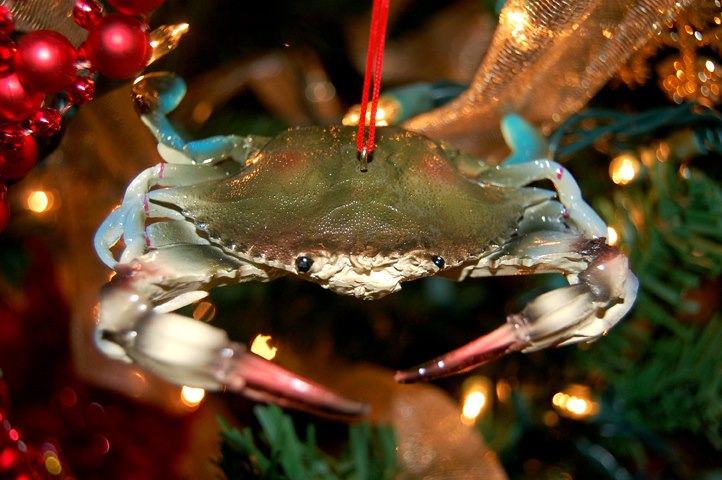 decorations are going up and the holiday spirit is spreading stop in at the cajun village and grab a one of a kind cajun christmas ornament for your tree - Cajun Christmas Decorations decorations are going up and the holiday spirit is spreading stop in at the cajun village and grab a one of a kind cajun christmas ornament for your tree - Cajun Christmas Decorations