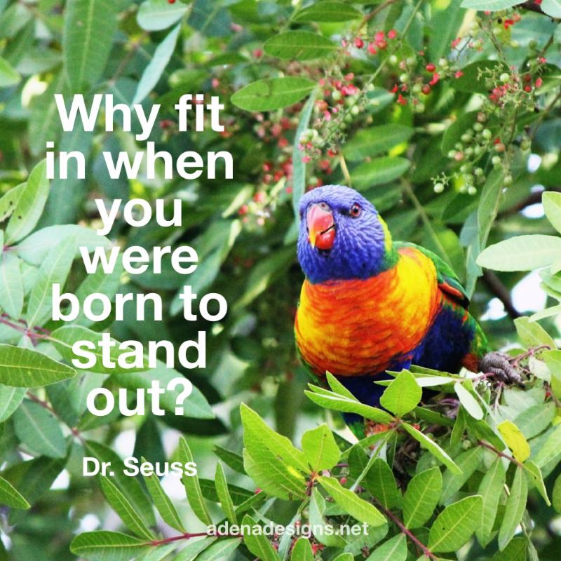 Why fit in when you were born to stand out?
