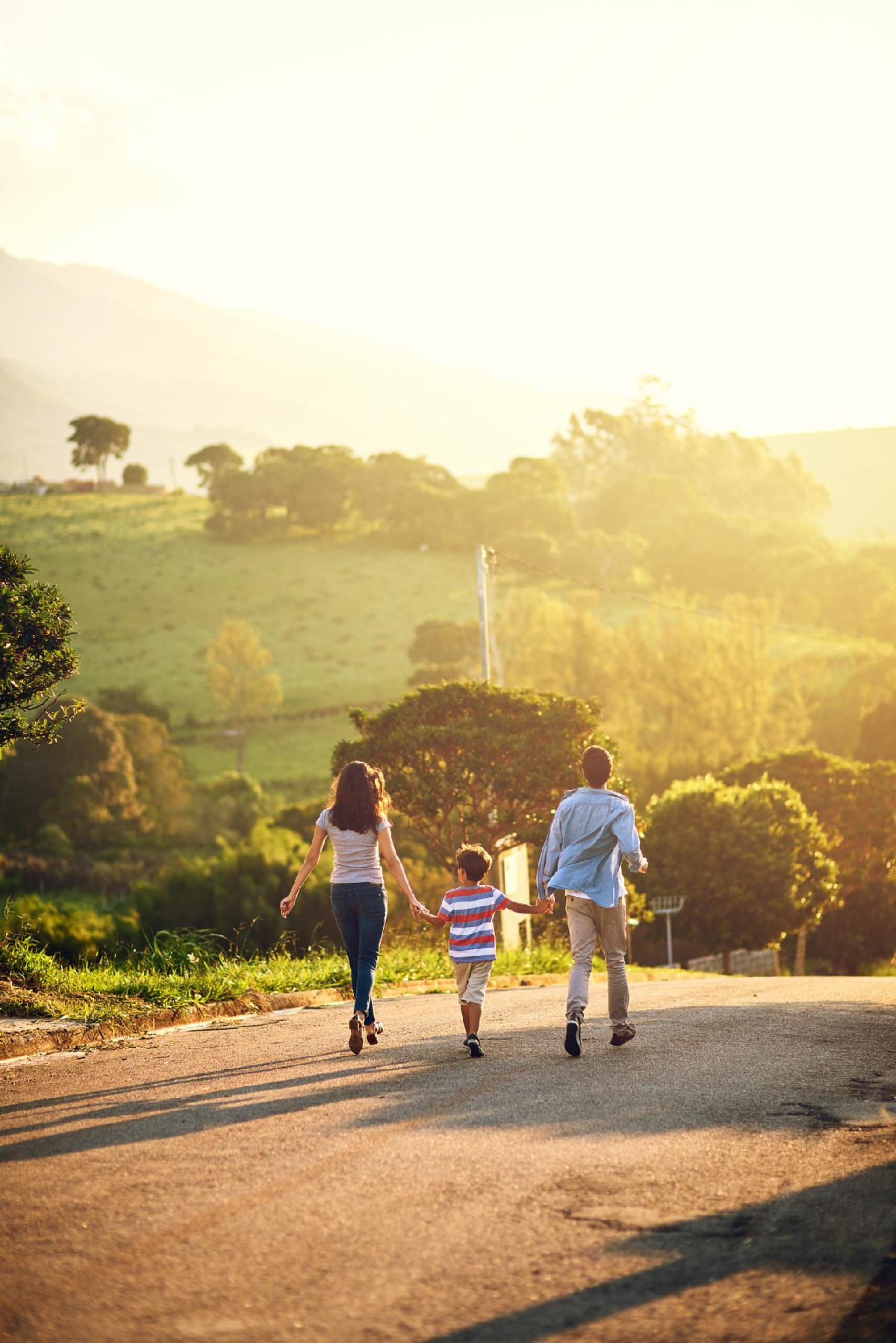 Rearview shot of a family walking in the countryside