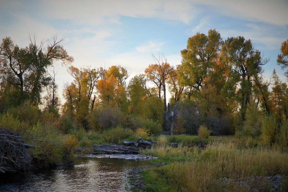 DSC09887 _2_.JPG