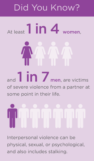 domestic violence stats