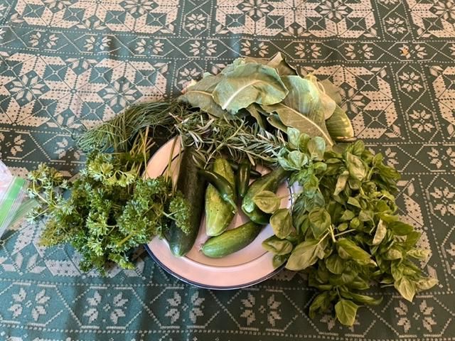 various veg and herbs plated on a table