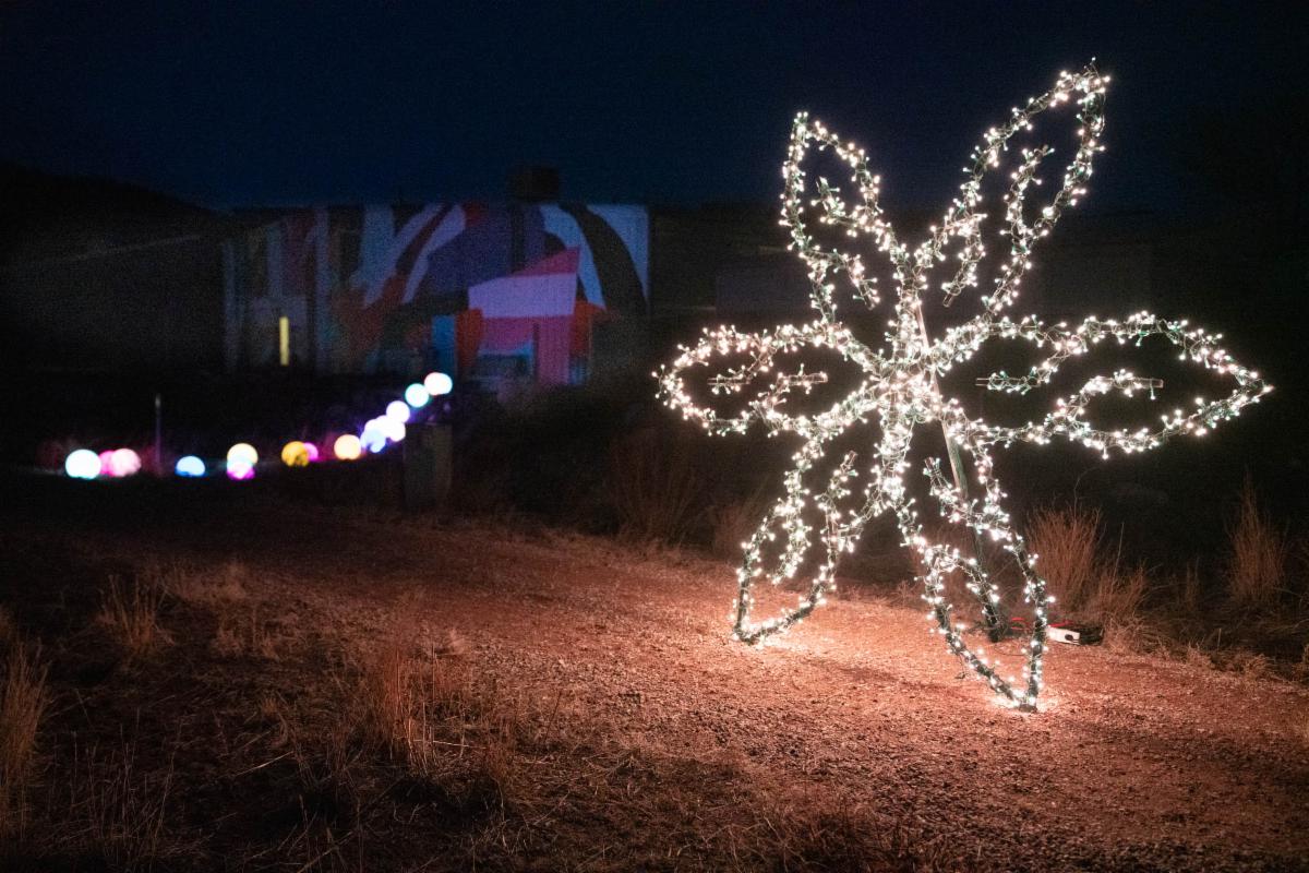 january-with-carbondale-creative-district