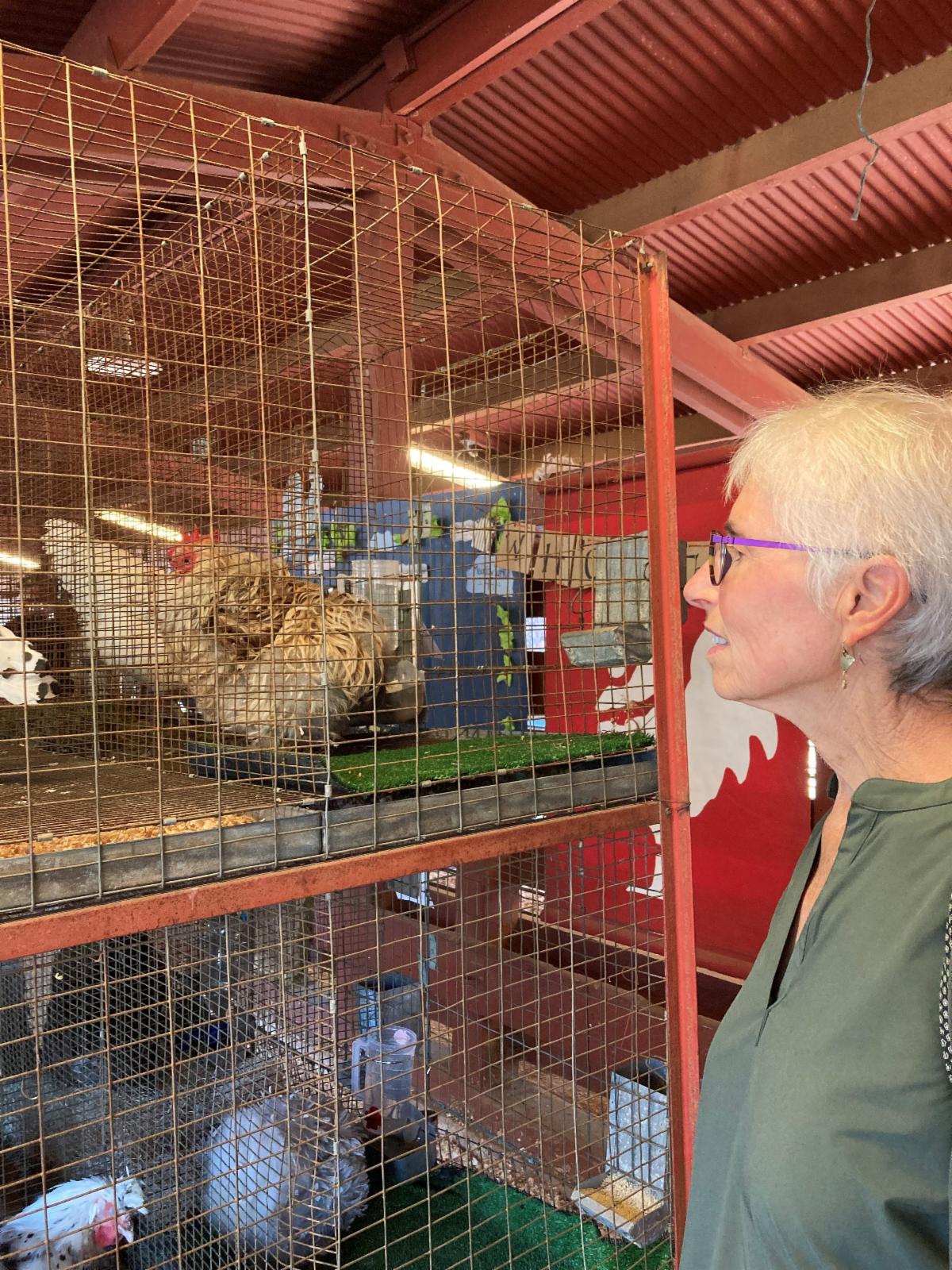 Maureen W and chicken