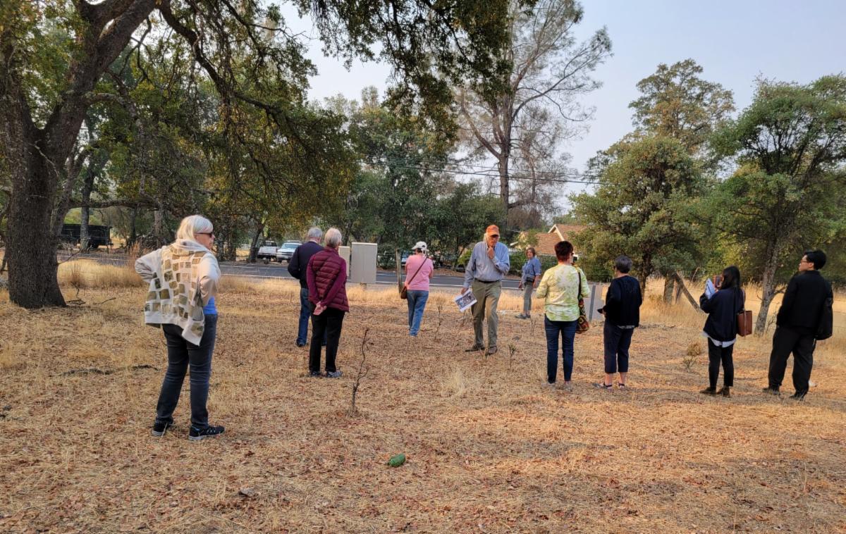 auburn cohousing site