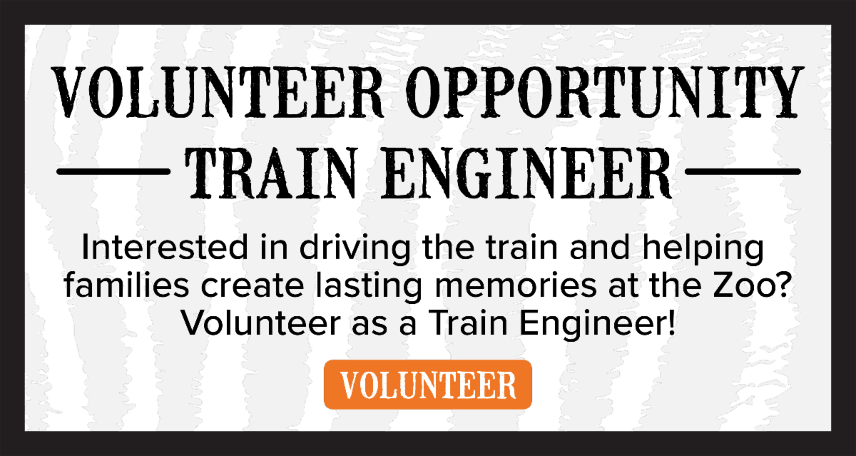 Zoo Lights Powered by LES starts Friday!