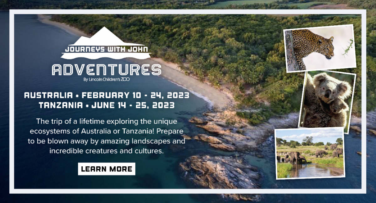 Zoo Lights Powered by LES starts Friday!