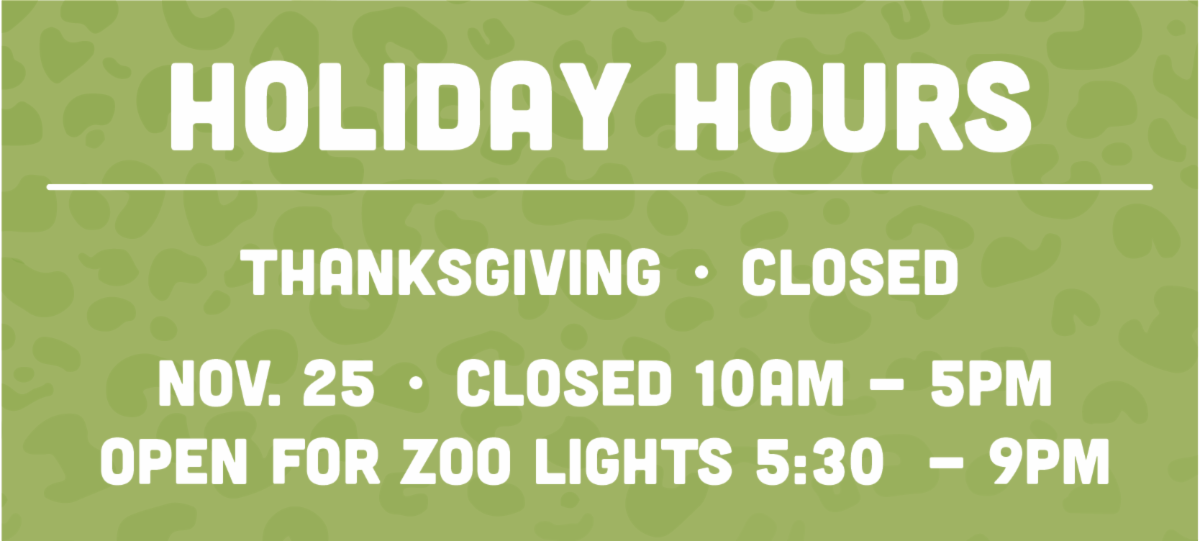 Zoo Lights Powered by LES starts Friday!
