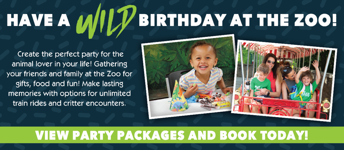 Zoo Lights Powered by LES starts Friday!