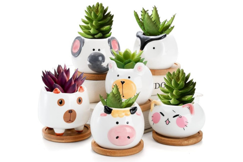 6 animal planters