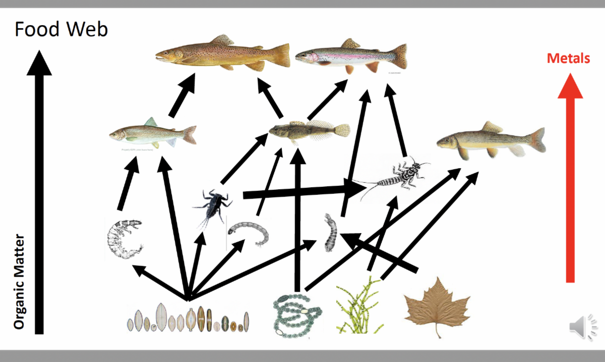 Graphic from AFS Presentation