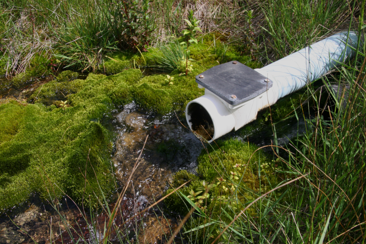 Picture of a drinking water spring in the Judith River Watershed